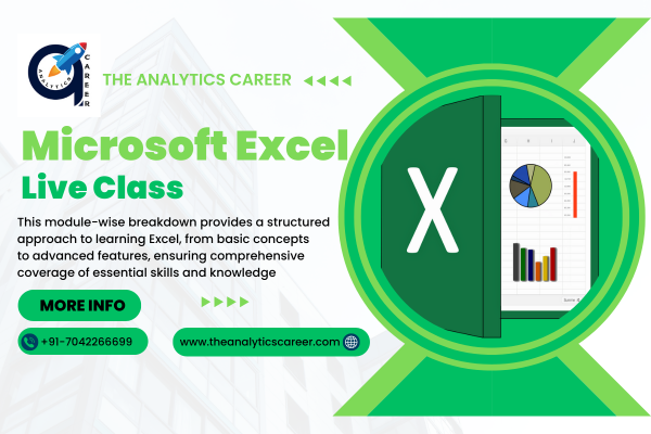 Excel Master Live Class cover