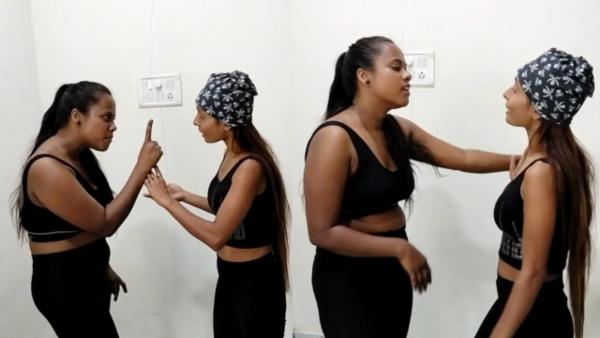 A catfight between Painters cover