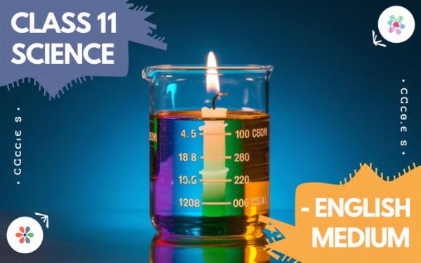 Class 11 Science- English Medium cover