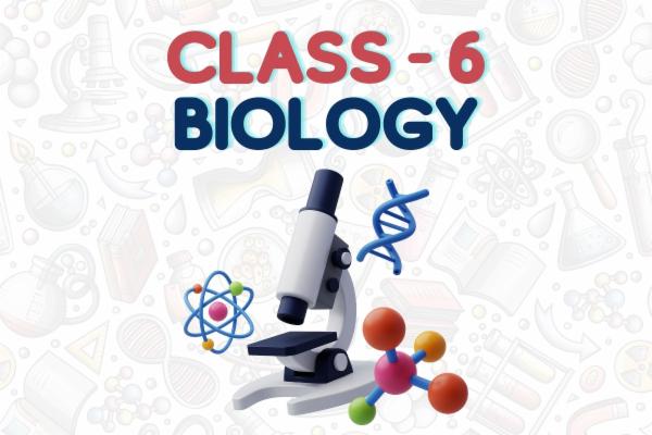 CLASS 6 - Biology (CBSE, State Boards) Notes, Mind Maps, MCQs cover