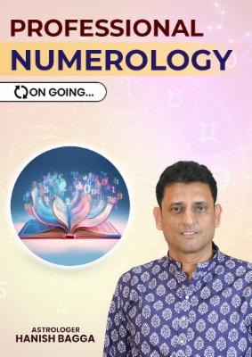 Professional Numerology Course cover