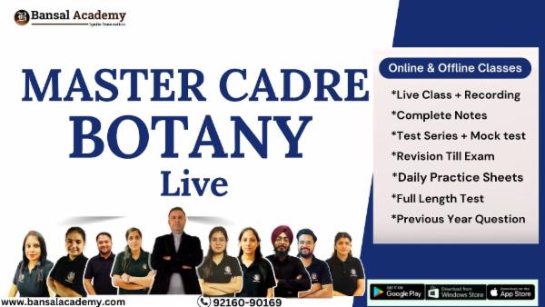 Master Cadre Botany Live cover