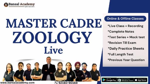 Master Cadre Zoology Live cover