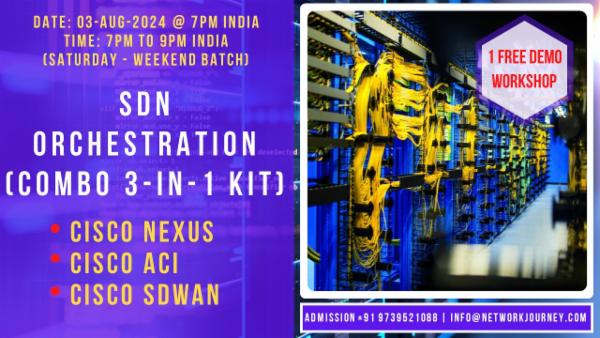 ACI NEXUS - Aug2024 cover