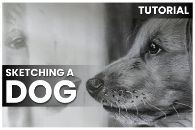 Sketching a Dog cover