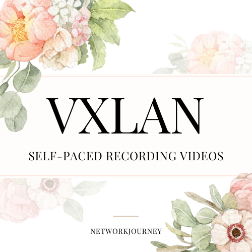 VXLAN- 2024 cover