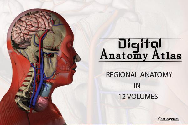 Digital Anatomy Atlas cover