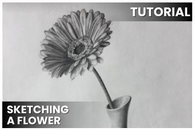 Sketching a Flower cover