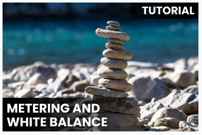 Metering and White balance cover