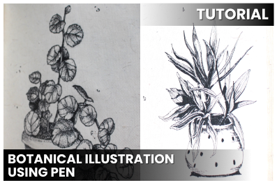 Botanical illustration using Pen cover