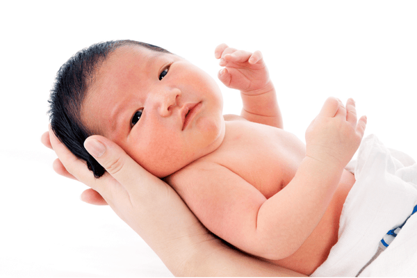 Comprehensive Infant & Toddler Development Program (0-2 yrs) cover