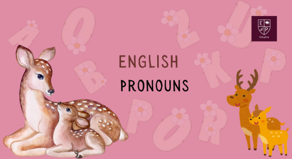 11+ English - Pronouns cover