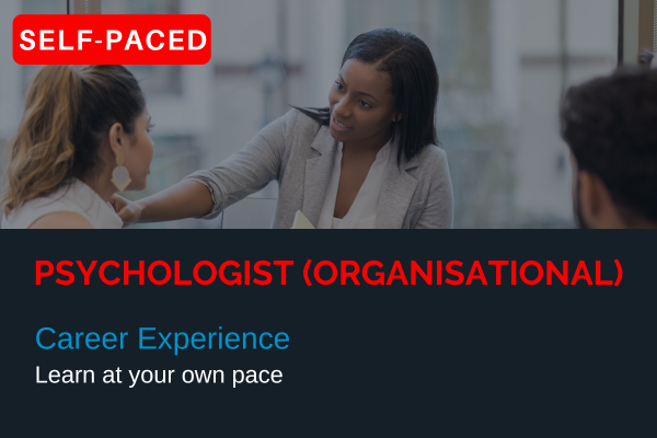 Career Experience | Psychologist (Organisational) cover
