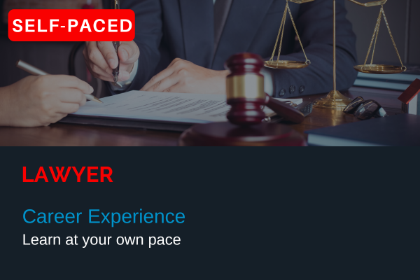 Career Experience | Lawyer cover