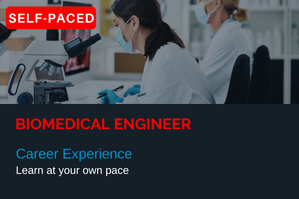 Career Experience | Biomedical Engineer cover