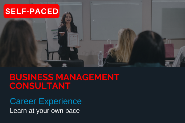 Career Experience | Business Management Consultant cover