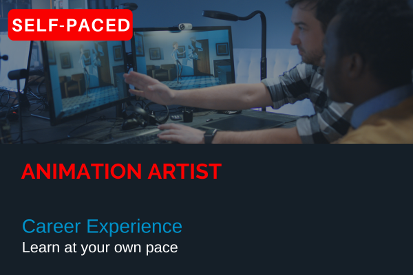 Career Experience | Animation Artist cover