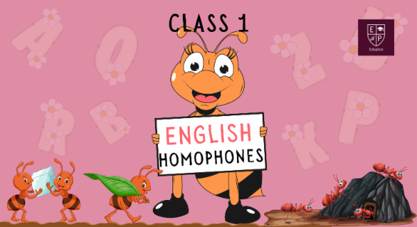 11+ English - Homophones cover