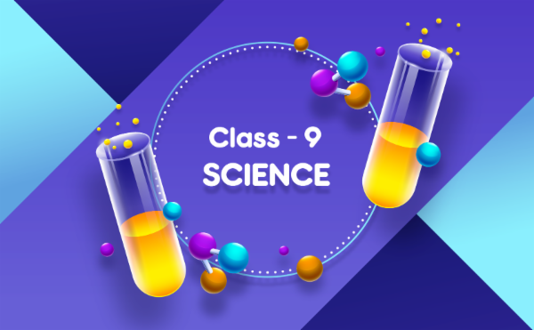 Class 9 - Demo Course cover