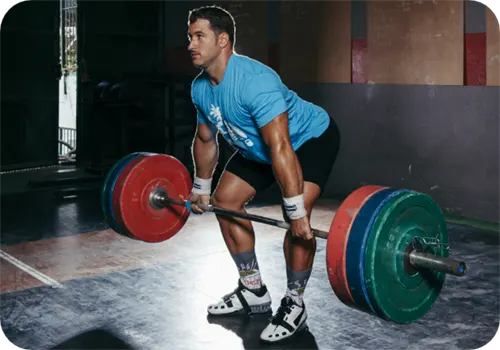 Advanced Health and Fitness Bundle cover