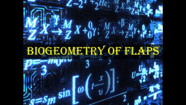 Bio-Geometry of Flaps - Planning & Designing cover