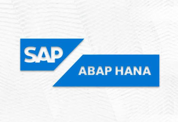 SAP ABAP On HANA + Workflow cover
