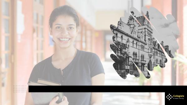 Internship in Data Visualisation and Storytelling cover