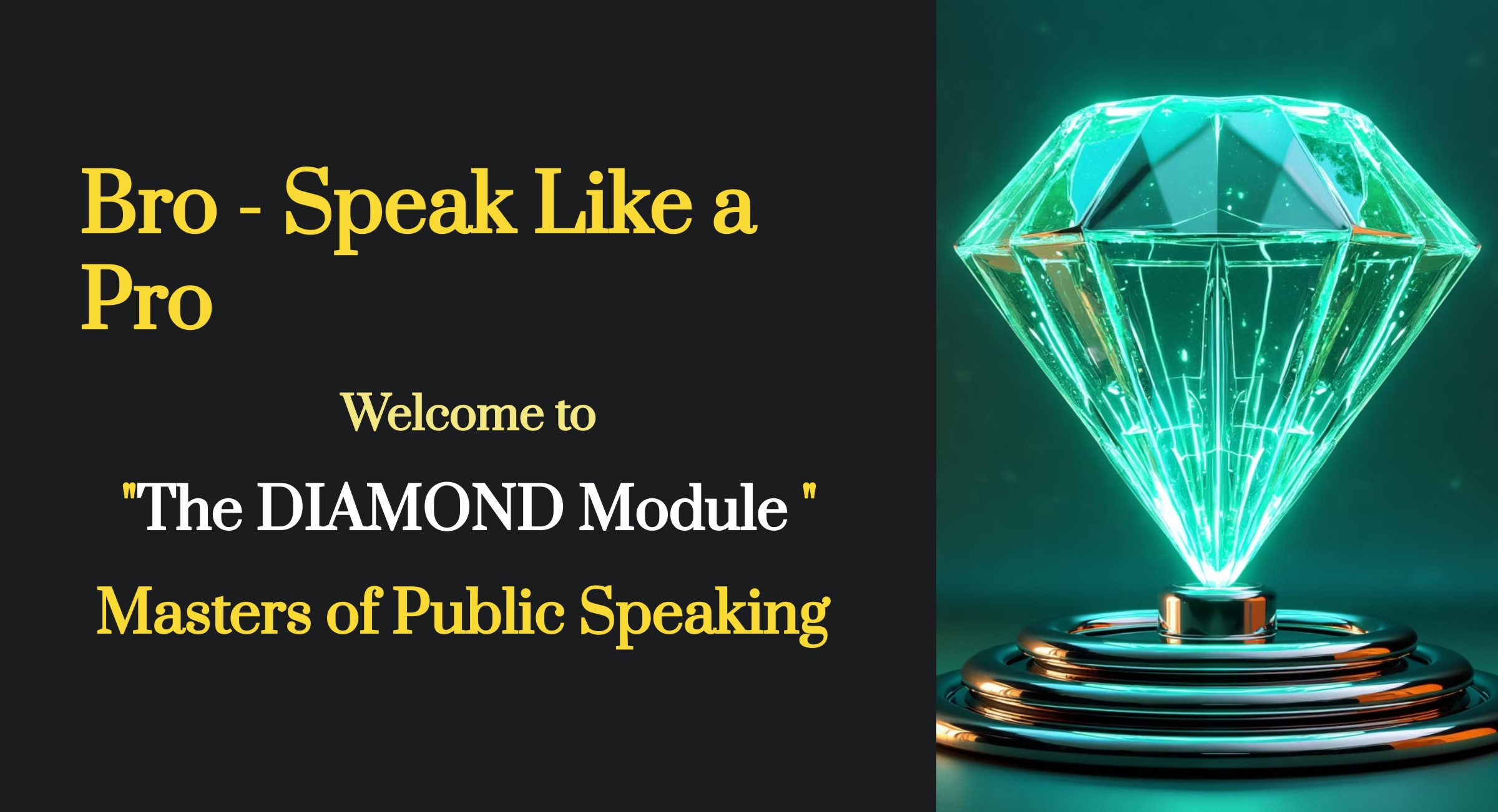 Bro - Speak Like a Pro Welcome to "The DIAMOND Module " Masters of Public Speaking cover