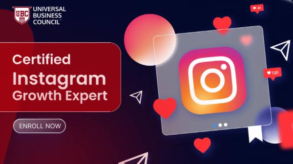 Instagram Growth Expert