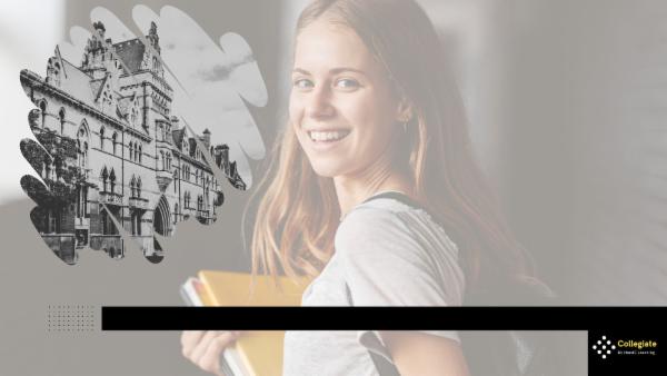 Internship in Spatial analysis cover