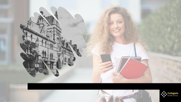 Internship in Geography intelligence cover