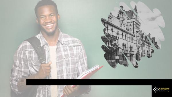 Internship in Creative and professional writing cover