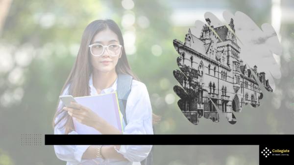 Internship in Film screenplay cover