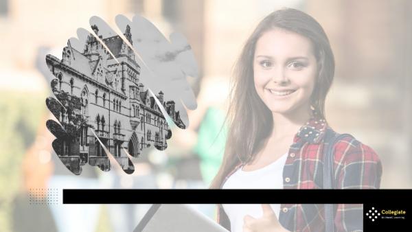 Internship in Curriculum development cover