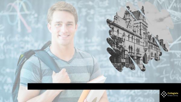 Internship in Political and social campaign management cover