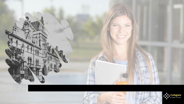 Internship in Gender politics, diversity and inclusion cover