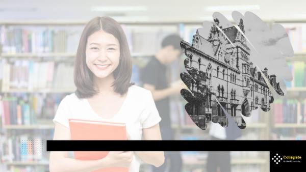 Internship in Digital archiving cover