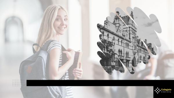 Internship in Museum studies and preservation cover