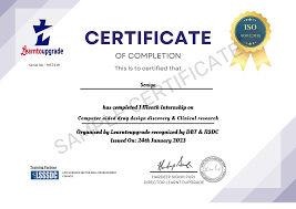 Internship Program For Computer Science and Management cover