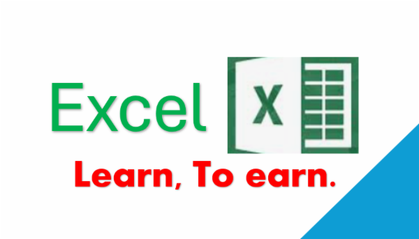 Microsoft Excel - Beginner to advanced  cover