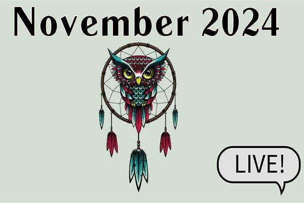 Dream School LIVE - November 2024 cover