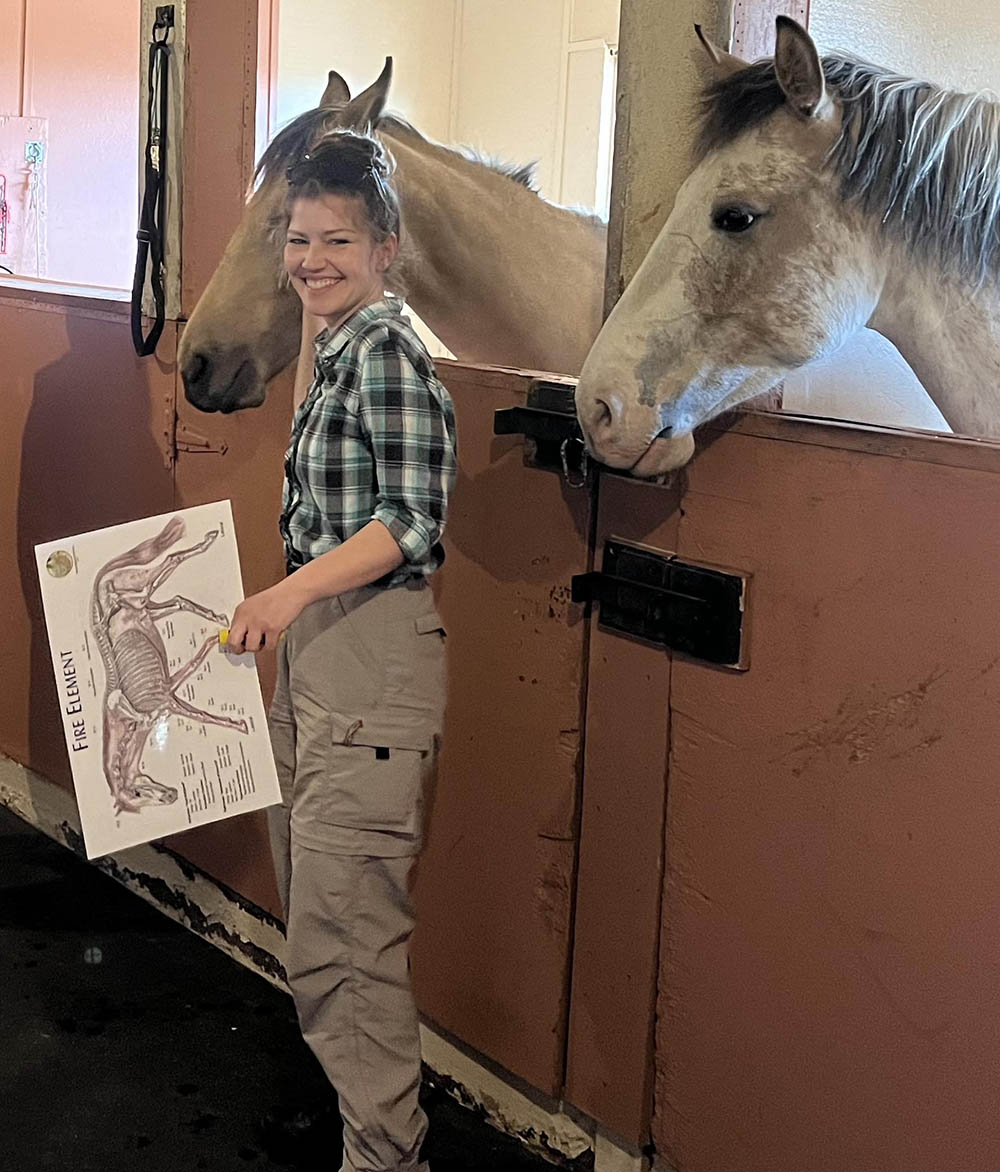 Equine Energetics & Landmark Anatomy cover