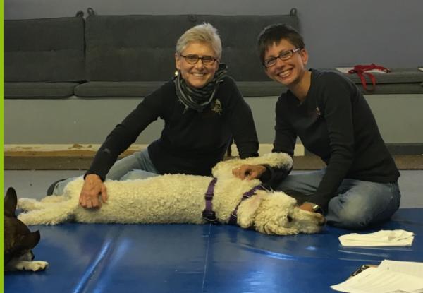 Small Animal Meridian Theory cover