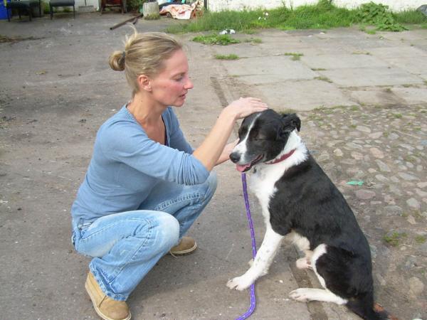 Small Animal Energetics & Landmark Anatomy cover