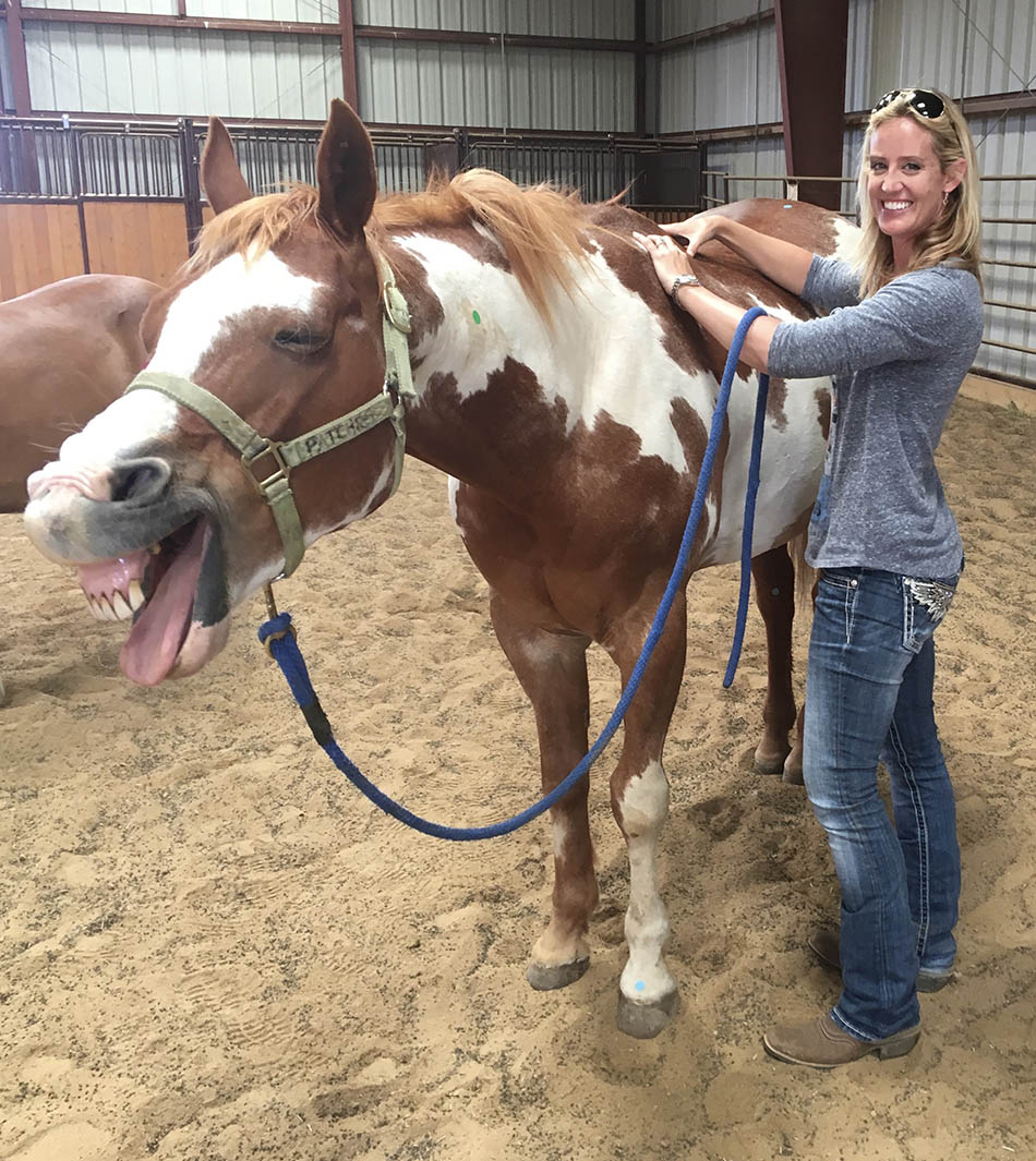 Equine Five Element Theory cover