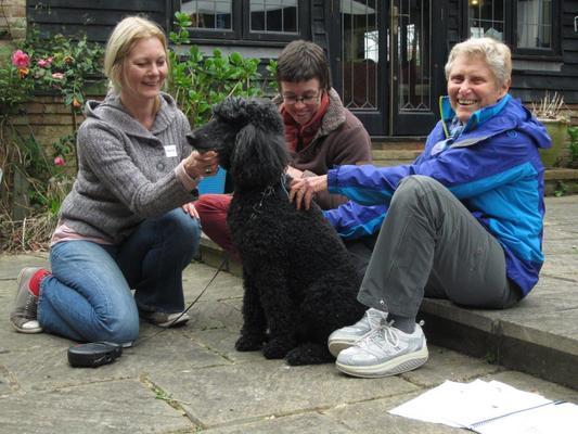 Small Animal Indicators & Assessment cover