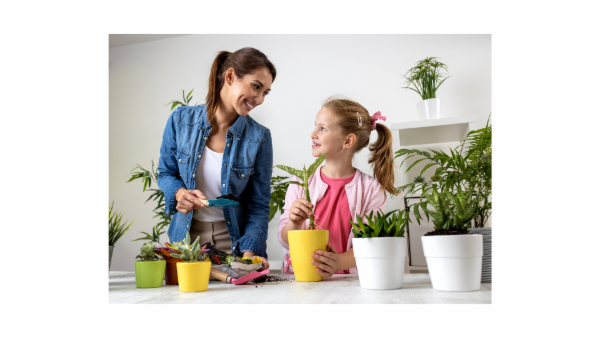 Essentials of teachings cover