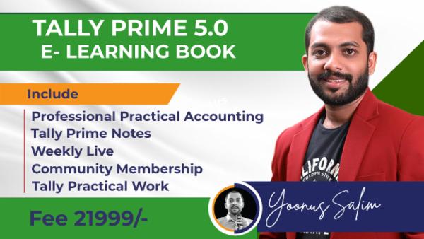 Tally E-Book + Professional Practical Accounting cover