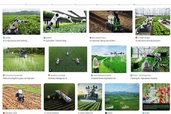 Nov - Data Science (DS) - Basics to Advanced and Real-time Projects with Certification and Placement cover