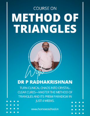 METHOD OF TRIANGLES - LEVEL 1 - THE BASIC FOUNDATION cover